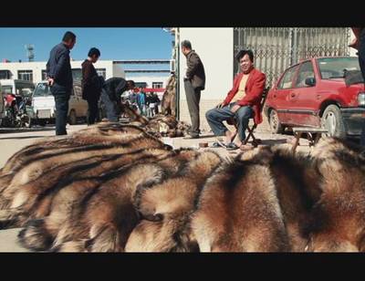 改革開(kāi)放后，蠡縣皮毛皮革產(chǎn)業(yè)的輝煌與轉(zhuǎn)型